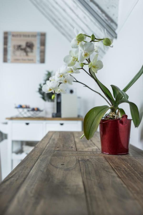 에게르 Farmhouse Apartman 아파트 외부 사진